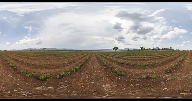 400 watermelons sold out in 24 minutes. How a family-run farm in Yachimata, Chiba, built a DTC ecommerce business hitting ¥9M/month in season