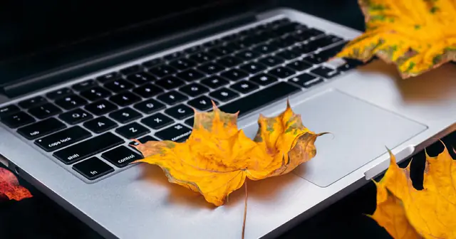 24 Udemy courses earning $1,500/month, $53,000 cumulative — the 3.5 years since switching to mass production once "$100 per course" became visible