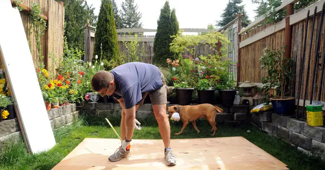 Own The Yard: 600 Articles in a “Backyard” Niche, Sold for About $250K in 3 Years — the Calculated Exit of a Public-Experiment Site